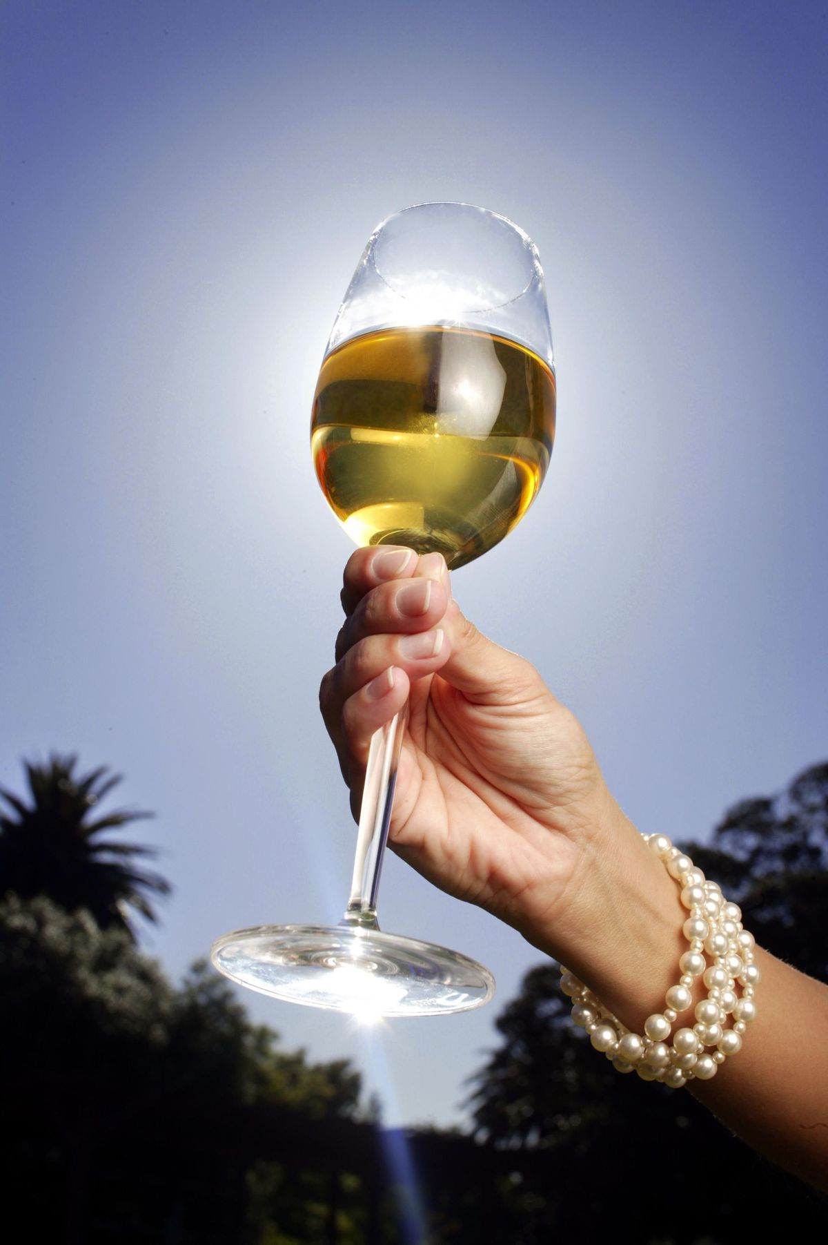 Vidre, Beguda alcohòlica, Alcohol, Beguda alcohòlica, Lliure, Beguda alcohòlica, Vaixella, Vassa de vi, Estris,